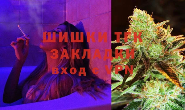 ПСИЛОЦИБИНОВЫЕ ГРИБЫ Верея