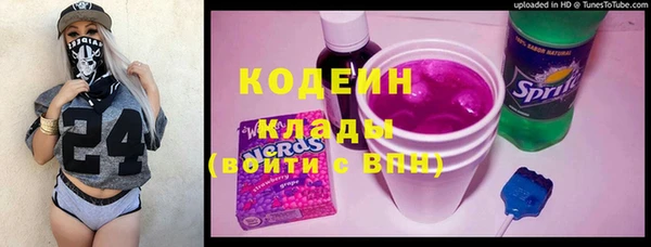 СК Бородино