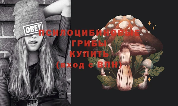 ПСИЛОЦИБИНОВЫЕ ГРИБЫ Верея