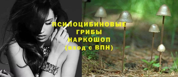 СК Бородино